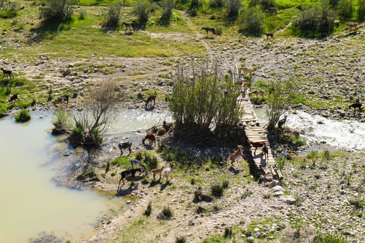 Via Verde de la Sierra-11