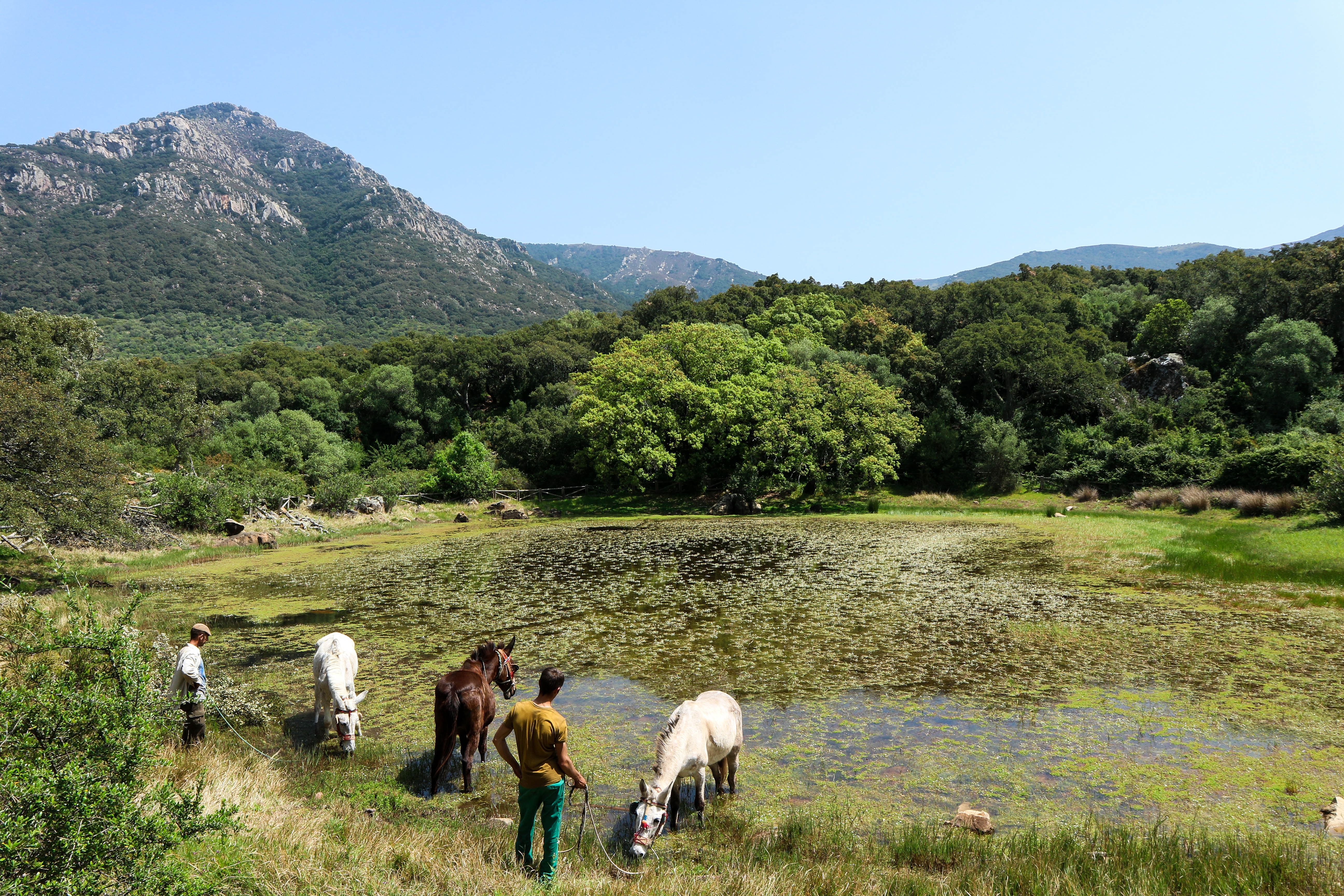 Sierra de Cadiz